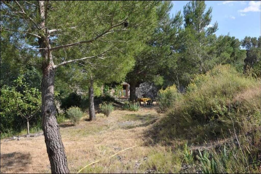 Charmant Mas Tout Equipe En Pleine Nature Catalane Cases-de-Pene Exterior photo